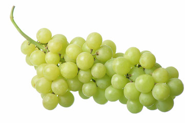 Fototapeta na wymiar Grapes
