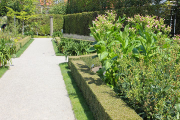 Arzneipflanzengarten Museum Ingolstadt