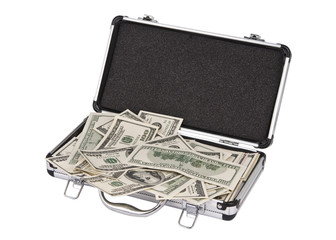 Case with dollars isolated