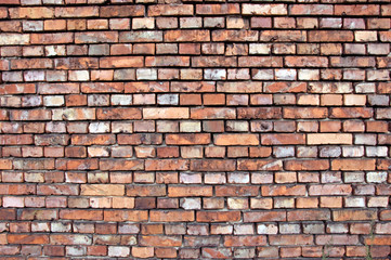 Obraz premium Ceglana ściana