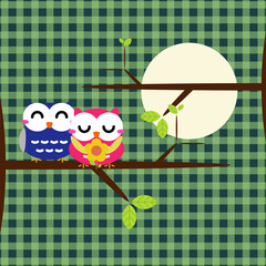 Two cute owls on the tree
