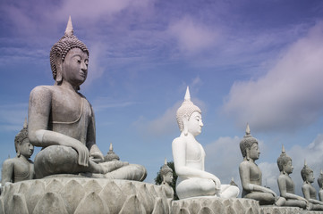 Obraz premium lot of Buddha Statue