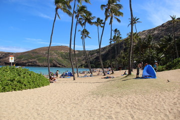 Hanauma Bay auf Oahu (Hawaii)