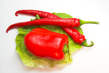 Red and green on white