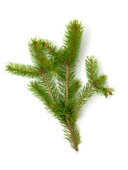 Christmas green framework isolated on white background