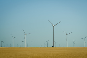Windmill farm in the prairies - 44078833