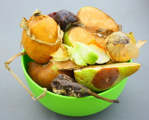 BOL de déchets fruitiers pour compost