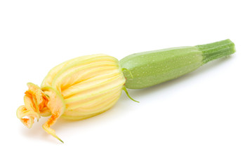 fresh young marrow with flower