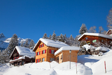 Winter holiday house