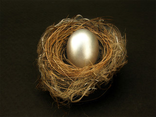 silver egg in nest