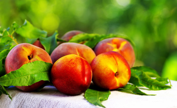Ripe peaches with green leaves