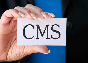 Naklejka na ściany i meble CMS - Content Management System