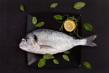 Sea bream on plate with herbs.