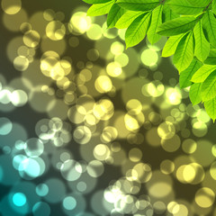 Obraz premium Leafs with shiny bokeh light background