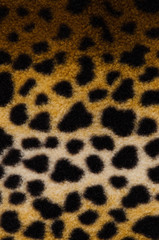 Pattern of a tiger skin
