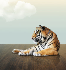 Naklejka premium tiger under the sky with cloud on wood floor