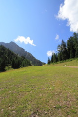 Camminare in estate su una pista da sci