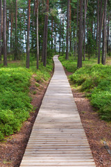 Fototapeta premium Wooden pavement..