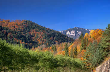 autumn mountain landscape