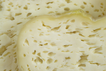 fresh cheese closeup