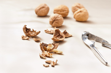 Opened and whole Walnuts
