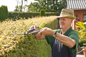 Gärner schneidet Hecke