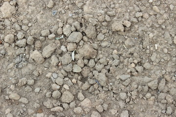 texture
