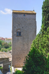Fototapeta premium Historical tower. Viterbo. Lazio. Italy.