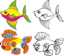 Fototapeta premium fish