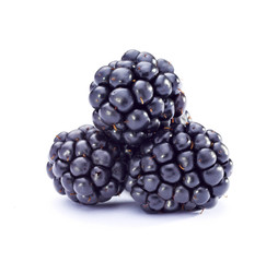 bramble fruit healthy food