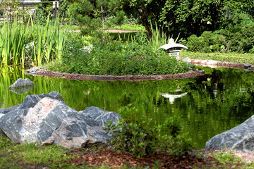 Pond in garden