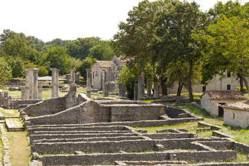 Altilia, Sepino, Molise-scavi della città romana