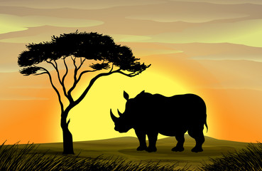 Rhinoceros under a tree