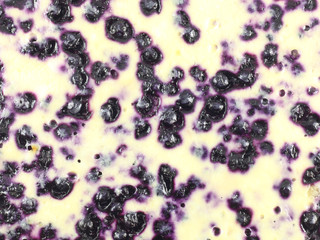 blueberry pattern