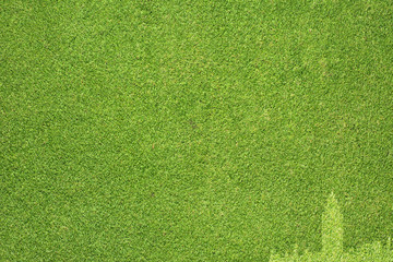 City on green grass texture and  background