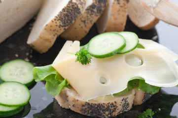 Cheese Sandwich