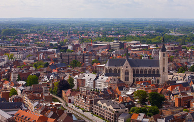 Obraz premium View of the city of Malines (Mechelen)