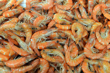 Shrimp  in the store