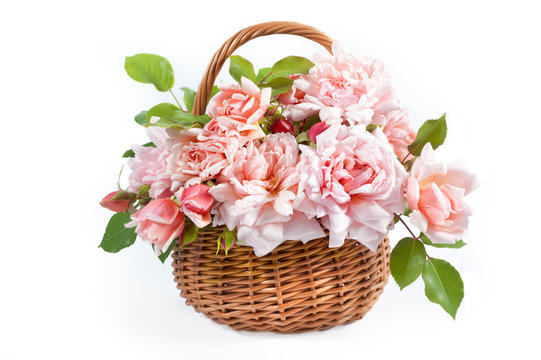 flowers rose in the basket