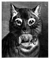 Hunt : Cat & Mouse © Erica Guilane-Nachez