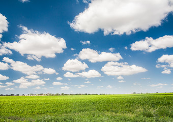 Fototapeta na wymiar Przyroda Krajobraz. Błękitne niebo i chmury.