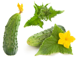 Cucumber set