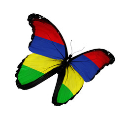 Mauritius flag butterfly flying, isolated on white background