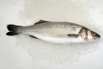 branzino su ghiaccio