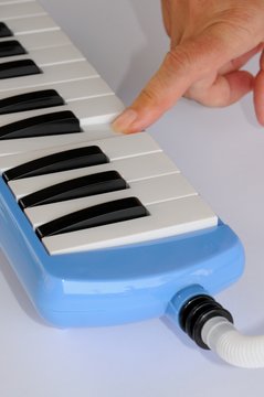 Pianica blow-organ.