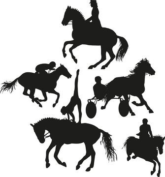 equestrian sport set
