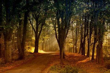 Obraz premium Herbstfarben