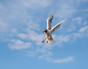 Emergency braking in the air