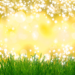 Fototapeta premium Natural background with grass