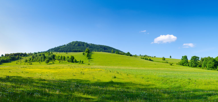 Panorama with hill